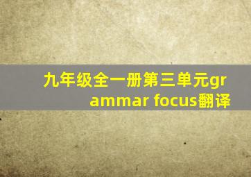 九年级全一册第三单元grammar focus翻译